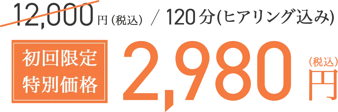 初回限定特別価格2,980円(税抜)